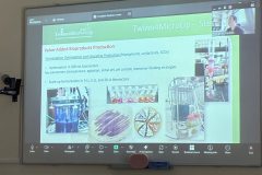 viber_image_2025-12-19_14-16-36-927