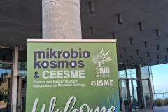 Αντίγραφο-του-Αντίγραφο-του-20250922_094941