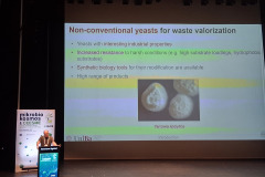 Αντίγραφο-του-Αντίγραφο-του-20250923_125221