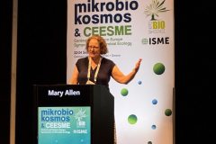 Αντίγραφο-του-Αντίγραφο-του-IMG-e2e2e0bcb341d8ca64fbd49fd936be75-V