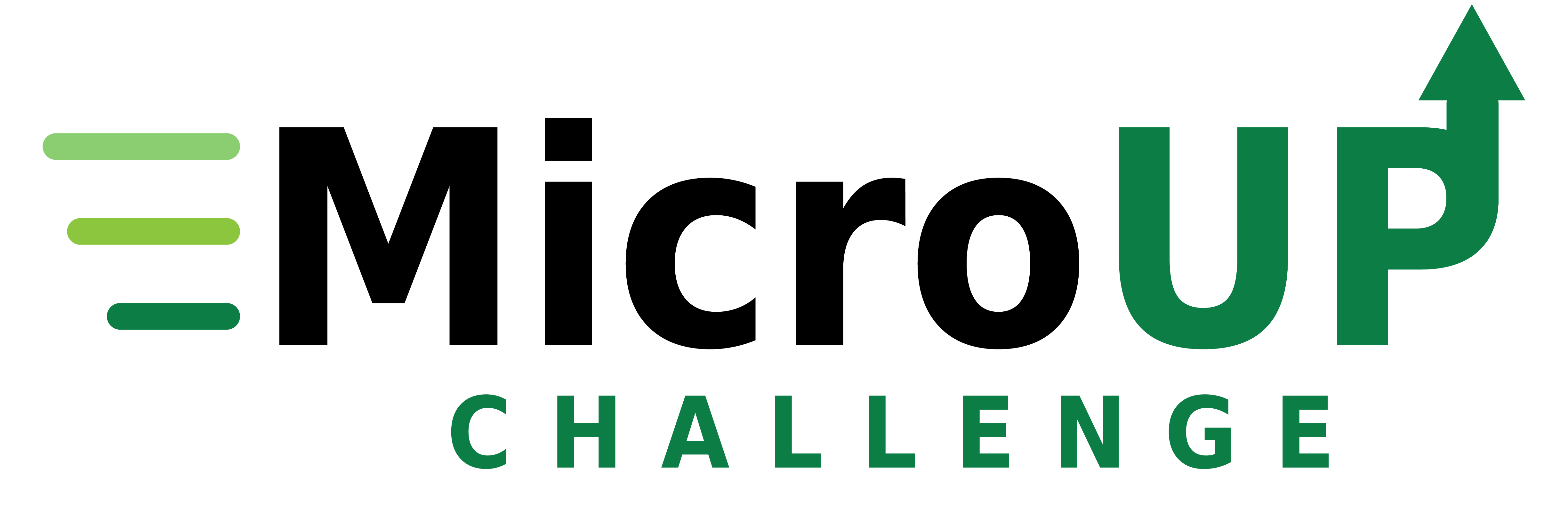 MicroUP Challenge