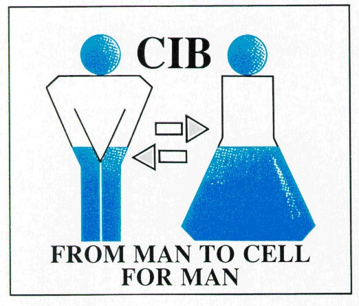 CIB