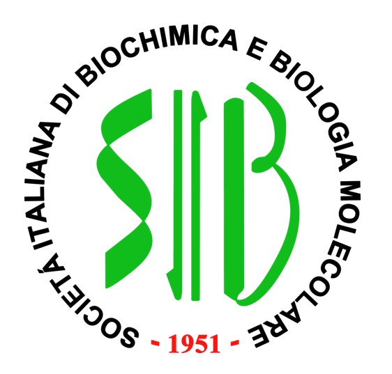 SIB